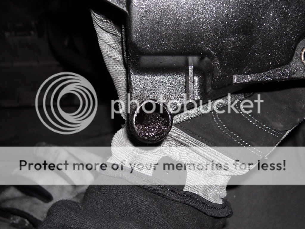 Posted Image