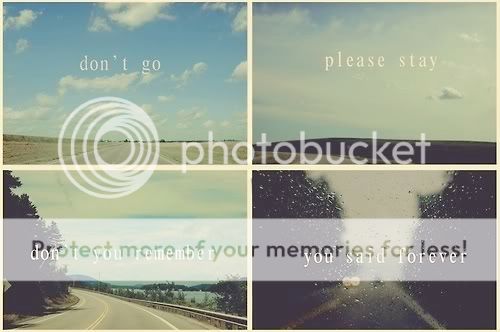 tumblr_l8zury9YxI1qakfb5o1_500.jpg photography image if-its-luurve