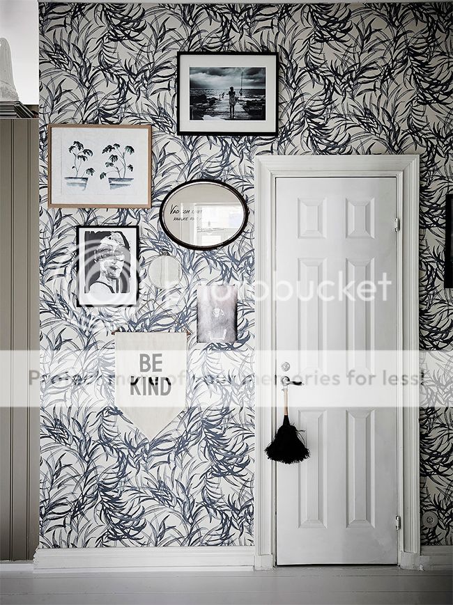 photo 4991671_zpsnhkcvjtm.jpg