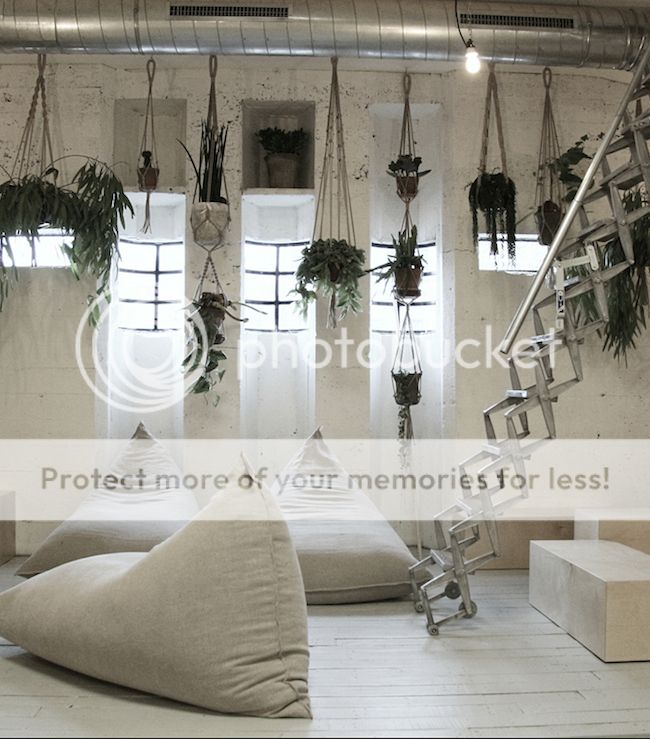  photo 4_zpsl4zhuyoy.jpg