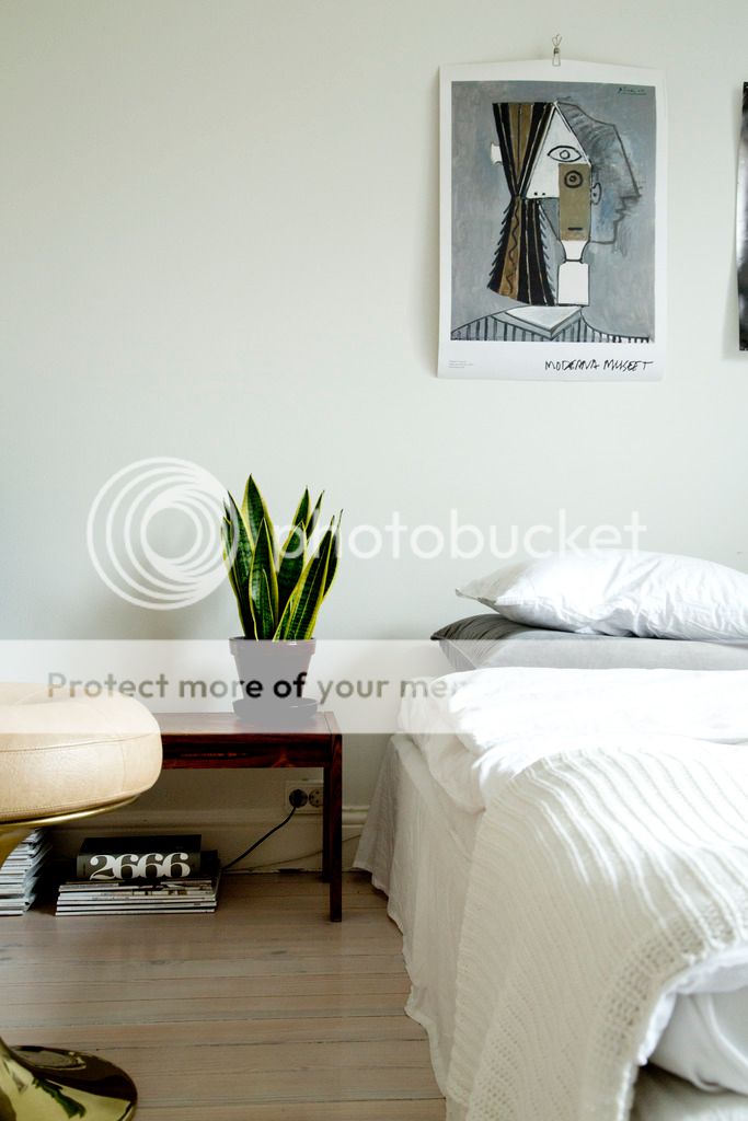  photo Petra_00182_zpsevi1q7gg.jpg