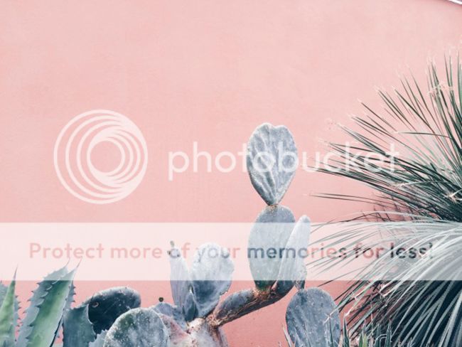 photo cacti-5_zpseikuadee.jpg