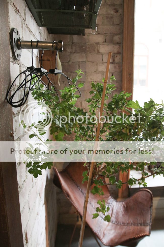 photo tuppen20_zps3bmc8xrs.jpg