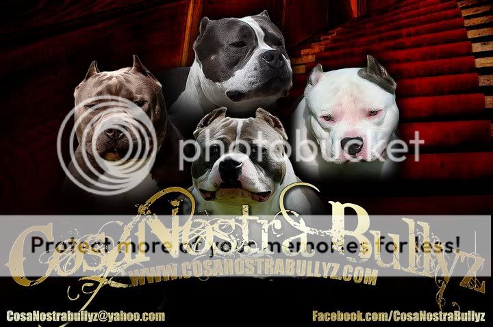 Photobucket Photobucket