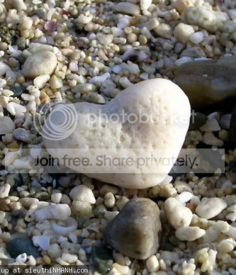 trai tim Pictures, Images and Photos