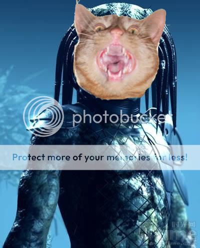 predator.jpg