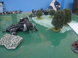 DSC02849.jpg Another Ship Down! image by STWBlog