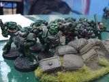 DSC02850.jpg Salamanders. image by STWBlog
