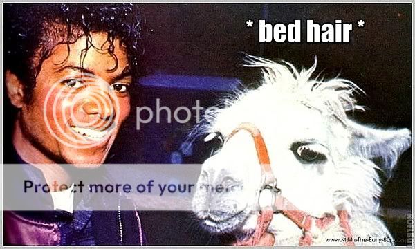 bedhair.jpg