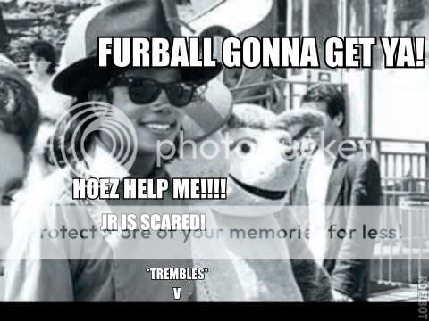 furball.jpg