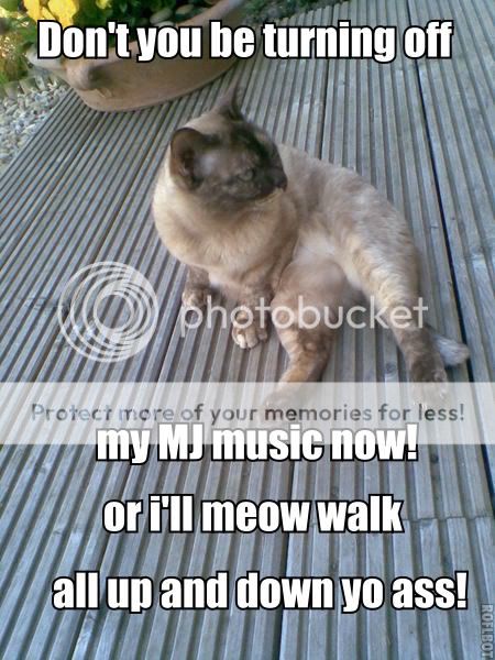 meowalk.jpg