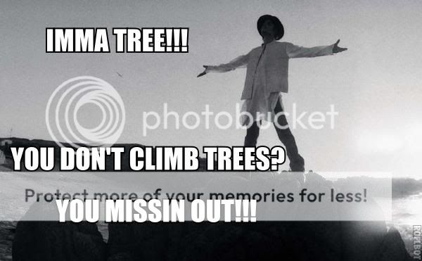 miketree.jpg