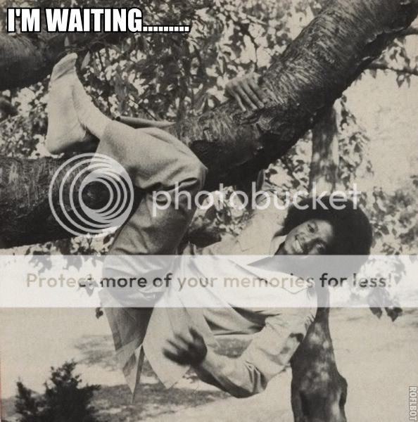 treewaiting.jpg