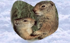 photo 1airedLove1st_zpsx9ze9fb7.gif