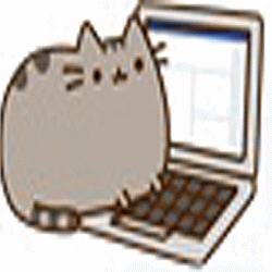 photo 1catTyperDo2_zpscvuprrct.gif