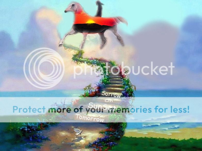 photo 1rides2heaven2do2do_zpshzspori8.jpg