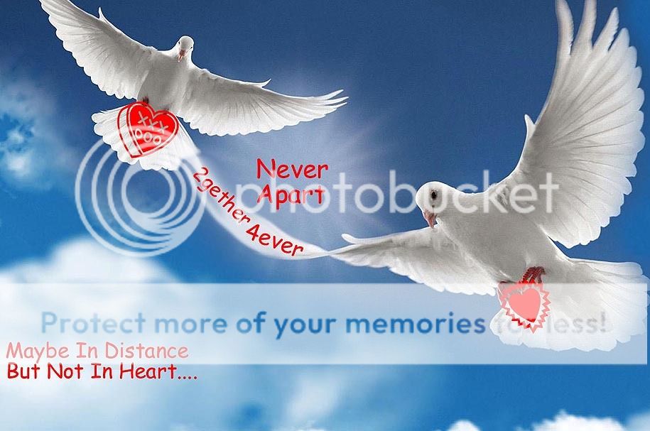 photo 2gether4ever2do2_zpsxoqohzsr.jpg