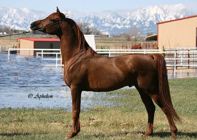IMAGE(http://i937.photobucket.com/albums/ad220/MaigrayBellivaunce/Breeze/07JG5109a.jpg)