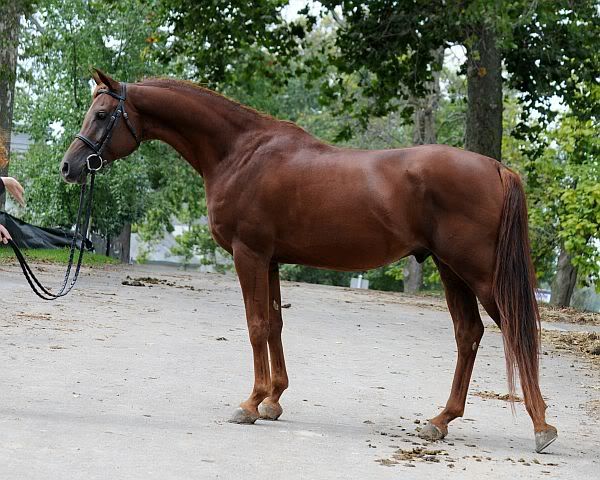 IMAGE(http://i937.photobucket.com/albums/ad220/MaigrayBellivaunce/Breeze/2776web.jpg)