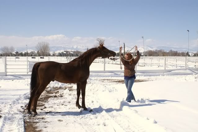 IMAGE(http://i937.photobucket.com/albums/ad220/MaigrayBellivaunce/Breeze/breezestand.jpg)