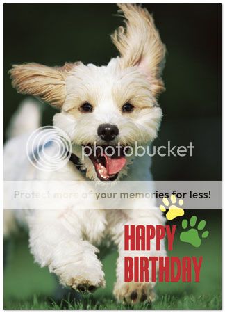 photo BirthdayforShirebound2013_zpsfdecee25.jpg