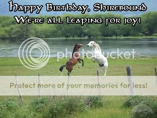 photo BirthdayforShirebound2014_zps4faa8be3.jpg